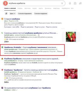 arabella strawberry.jpg