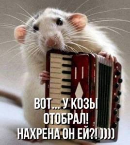 У КОЗЫ ОТОБРАЛ.jpg