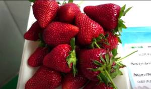 877оорпееееее (3).jpg