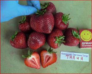 второй раз (12).jpeg