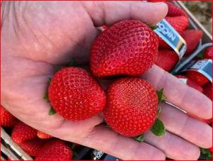 877оорпееееее (1).jpg