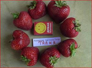 второй раз (14) (1).jpeg