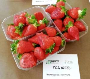 Screenshot_20251211_100502_Yandex Start.jpg