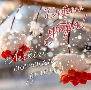 dobroe-utro-zimnie-zamanilka-34.jpg