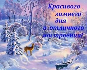 krasivogo-zimnego-dnya-i-otlichnogo-nastroeniya.thumb.jpg.c286f8d8cac4a3170e86c4ec2bd3652c.jpg