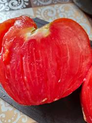 Всеми любимый