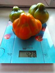 Чудо чудное.jpg