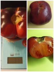 Аметистовая драгоценность.jpg