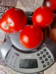 Мост над неспокойной рекой