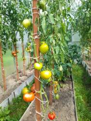 Брусиловский