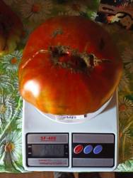 Лавандовое озеро.jpg