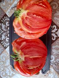 Бабушка быка