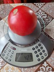 Всеми любимый