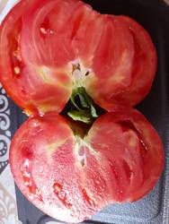 Мост над неспокойной рекой