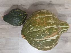 Зелёные Хаббарды