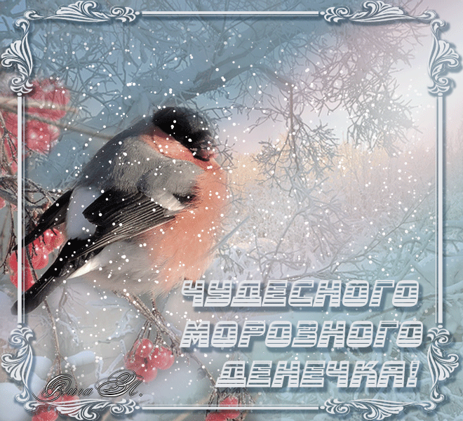 dobrogo-zimnego-dnya-animacij-102121-4 (1).gif