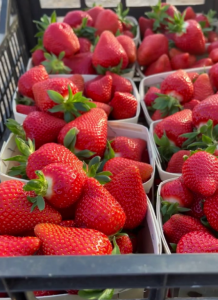 Снимок экрана 2026-01-28 113305.png