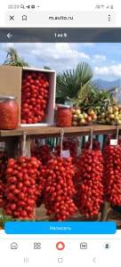 Screenshot_20260105_222351_Yandex Start.jpg