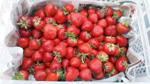 IMG-20170827-WA0017 (1).jpeg