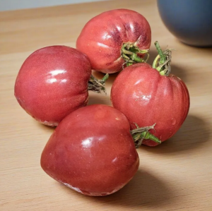 Снимок экрана 2025-12-01 153659.png