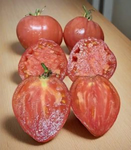 Снимок экрана 2025-12-01 154257.png