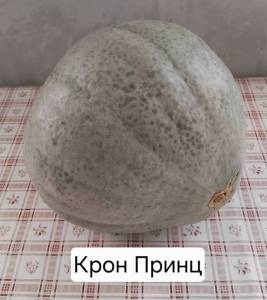 Крон Принц 2025.jpg