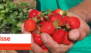 Снимок экрана 2026-01-28 105707.png