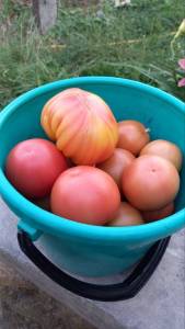 Мадрид и Пинк Айди.jpg