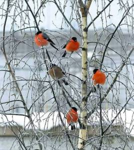 ДОБРОЕ УТРО 07.01.jpg