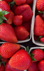 Снимок экрана 2026-01-28 113336.png