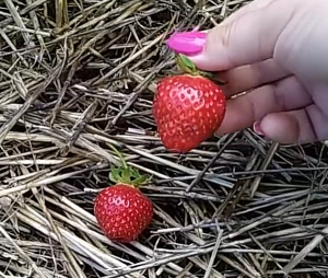 Снимок экрана 2026-01-28 105743.png