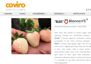 Снимок экрана 2026-01-24 154351.png