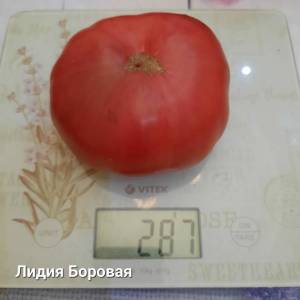 avito-image (1).jpeg