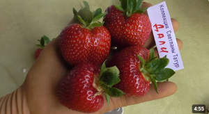 Снимок экрана 2026-01-22 150240.png