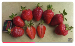 Снимок экрана 2026-01-28 105755.png