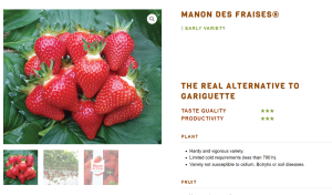 Снимок экрана 2026-01-28 110611.png