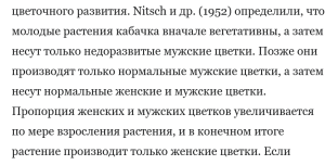 цветки кабачка.png