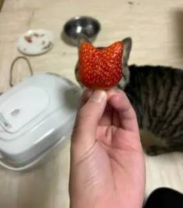 i - 2026-01-27T170933.556.jpg