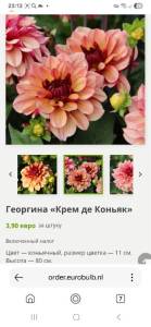 Screenshot_20260108_231336_Yandex.jpg
