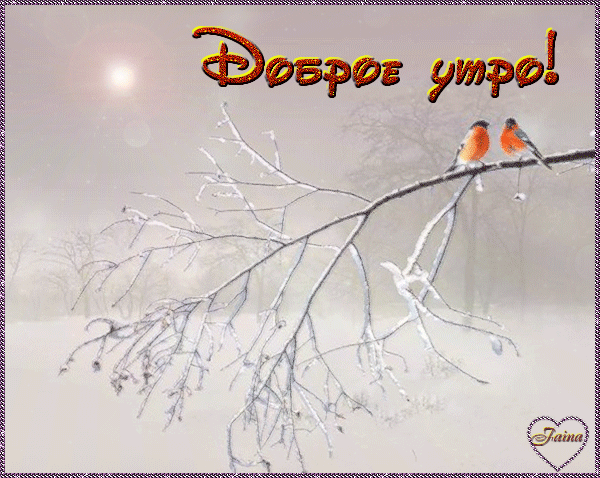 dobroe-zimnee-utro-ponedelnika-36.gif