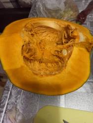 Криола Патака разрез.jpg