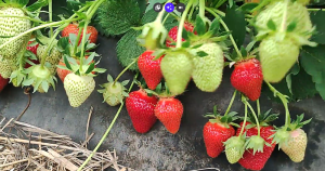 Снимок экрана 2026-02-27 203403.png