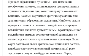 главное условия для формировки луковицы.png