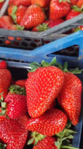 Снимок экрана 2026-02-19 075951.png