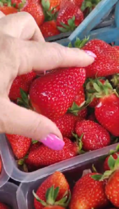 Снимок экрана 2026-02-19 075919.png