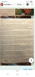 Screenshot_20260207_203959_Yandex Start.jpg