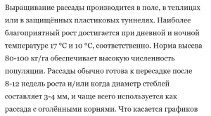 рассада лука.png