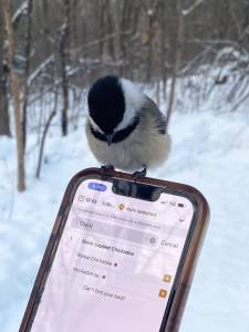 Доброе утро 02.02.jpg