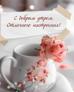 351-otkrytka-dobrogo-utra-i-horoshego-nastroeniya-280.thumb.jpg.1d43c43ab5f4a7ff096fe1d7d07f9cdd.jpg