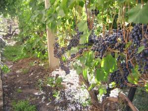 1980-01-01 00-00-35 (4).JPG